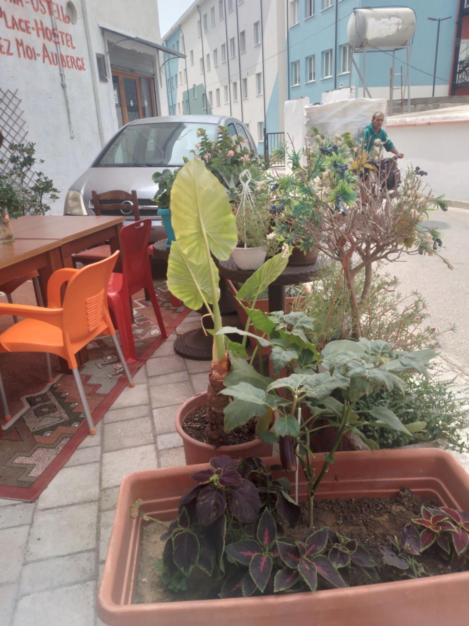 Casa Mia Vandrarhem Vlorë Exteriör bild